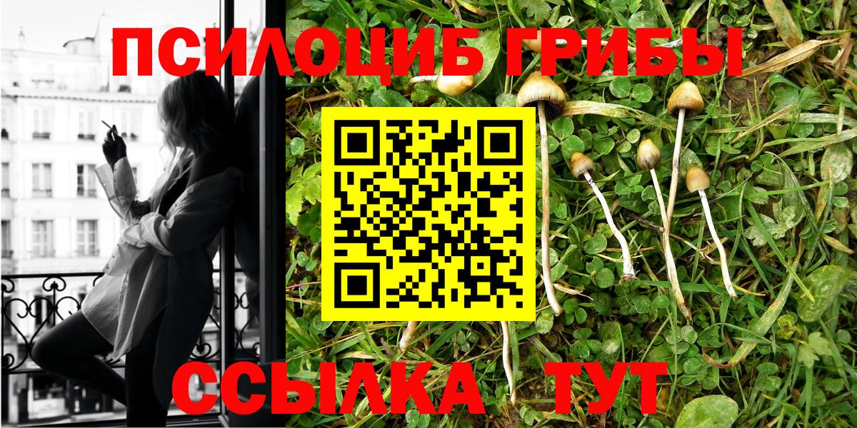 Галлюциногенные грибы GOLDEN TEACHER  Вход с VPN  Унеча 