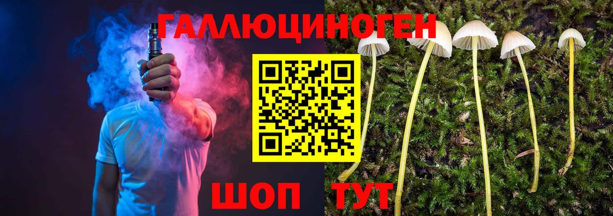 Галлюциногенные грибы Cubensis Унеча