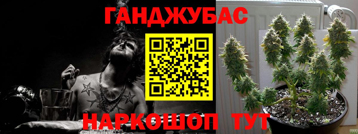 Унеча  Бошки марихуана Bruce Banner  Вход с VPN  Каннабис White Widow  Марихуана план 